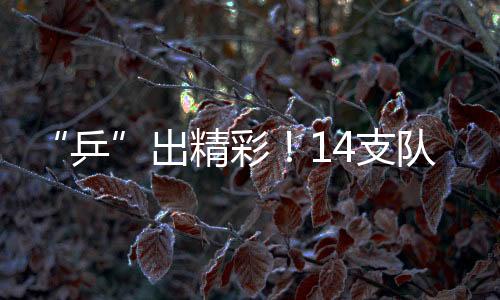 “乒”出精彩!14支队伍角逐龙岗第六届“乒协杯”大奖赛